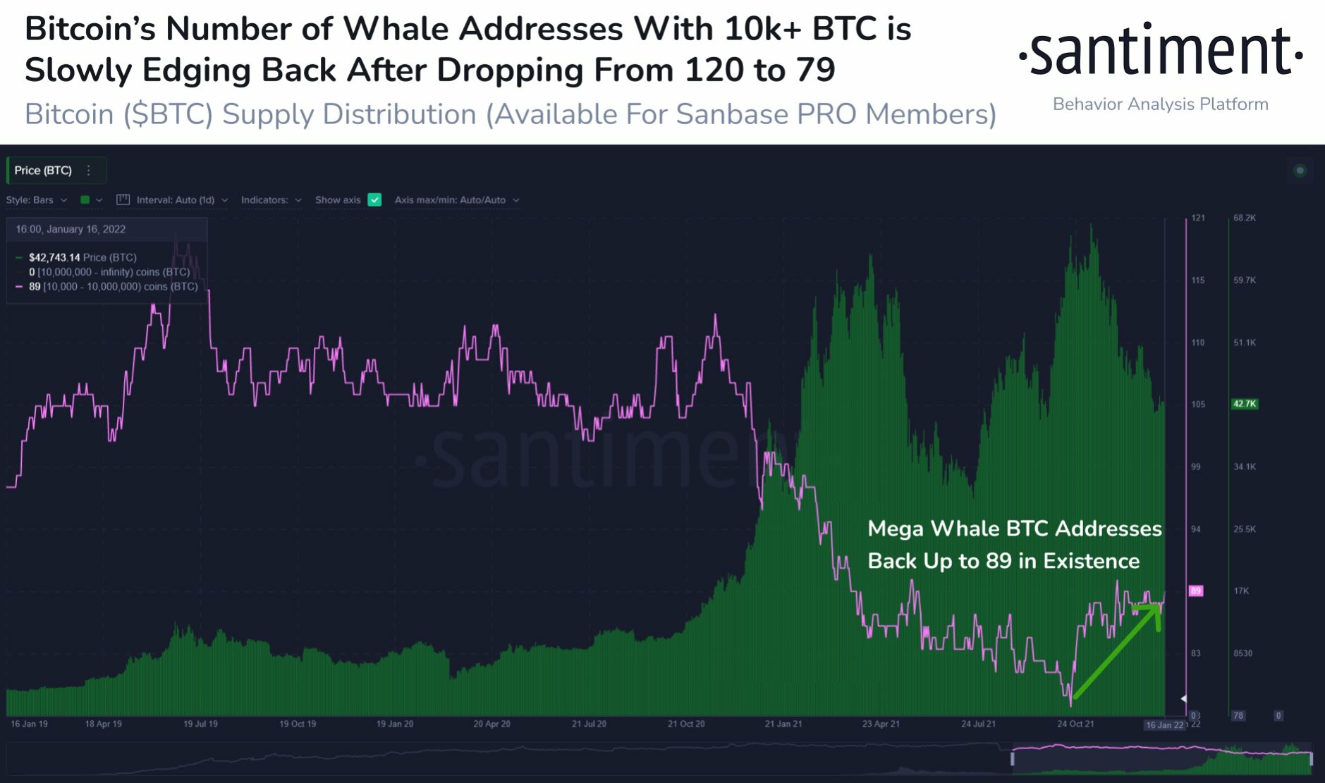 Cá voi Bitcoin xuất hiện trở lại để duy trì trên 40K USD