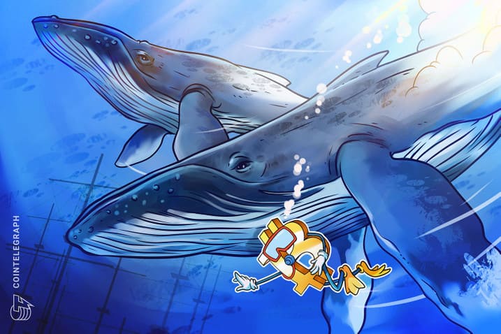 Cá voi bỏ túi Bitcoin khi số dư trên sàn giao dịch giảm