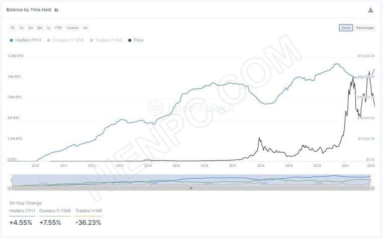 Người nắm giữ dài hạn và cá voi vẫn tiếp tục tích lũy Bitcoin