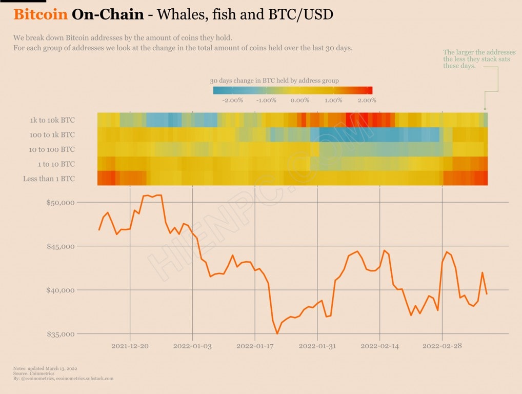 Cá voi có Bitcoin trị giá hơn 1 triệu USD gia tăng áp lực bán