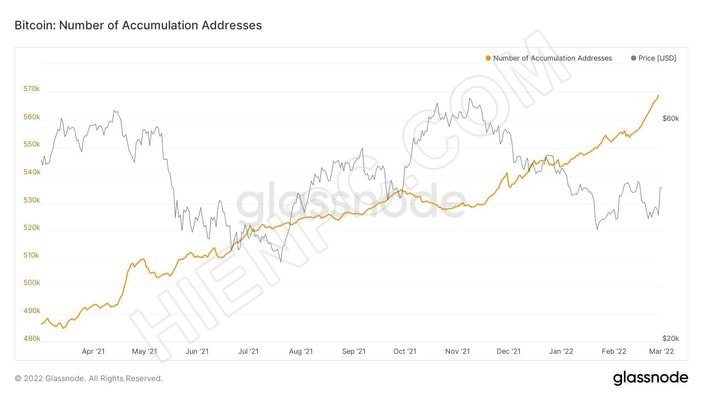 Địa chỉ cá voi Bitcoin đạt mức cao nhất trong 10 tháng