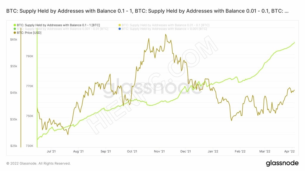 FOMO bán lẻ Bitcoin tăng đột biến nhất kể từ năm 2017