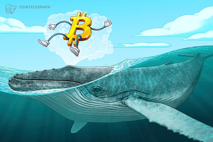 Cá voi Bitcoin nhỏ có thể giữ giá BTC khỏi “bán tháo”
