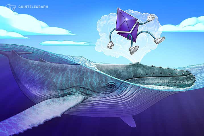 Cá voi Ethereum trở nên bận rộn khi các giao dịch đạt mức cao