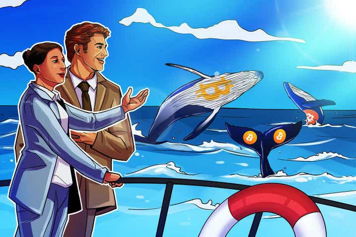 Giá Bitcoin đạt mức cao khi nhu cầu của cá voi “tăng đột biến”